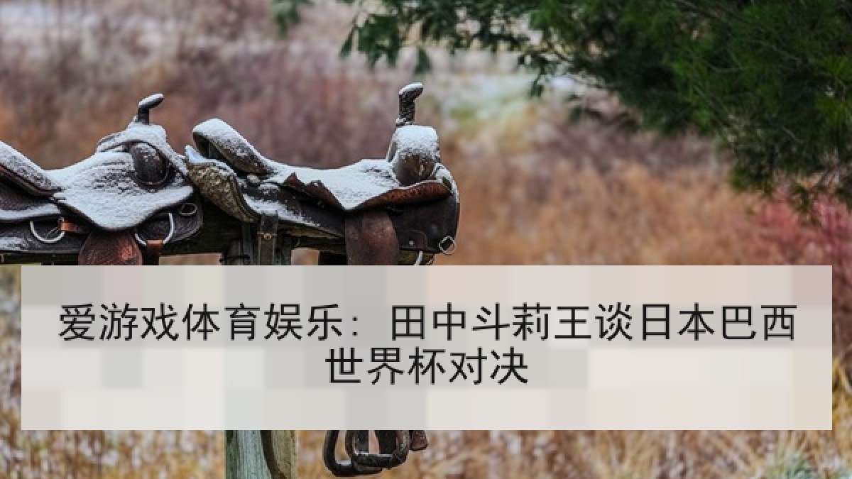 爱游戏体育娱乐: 田中斗莉王谈日本巴西世界杯对决 爱游戏体育娱乐: 田中斗莉王谈日本巴西世界杯对决