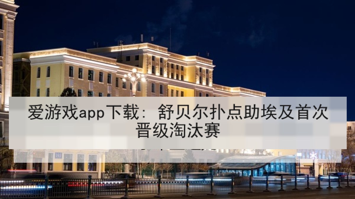 爱游戏app下载: 舒贝尔扑点助埃及首次晋级淘汰赛