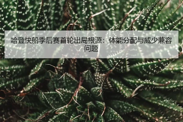 ha-deng-kuai-chuan-ji-hou-sai-shou-lun-chu-ju-gen-yuan-ti-neng-fen-pei-yu-wei-shao-jian-rong-wen-ti-3-996.jpg