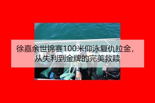xu-jia-yu-shi-jin-sai-mi-yang-yong-fu-chou-la-jin-cong-shi-li-dao-jin-pai-de-wan-mei-jiu-shu-3-953.jpg