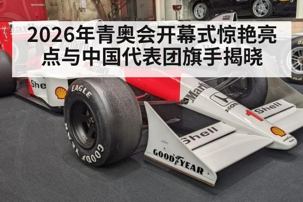 2026年青奥会开幕式惊艳亮点与中国代表团旗手揭晓